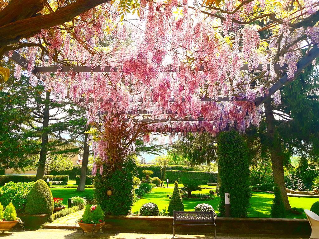 Il Casale Di Riardo Luxury B&B エクステリア 写真
