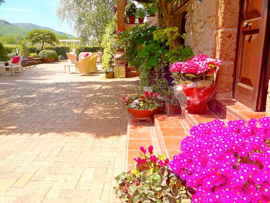 Il Casale Di Riardo Luxury B&B エクステリア 写真