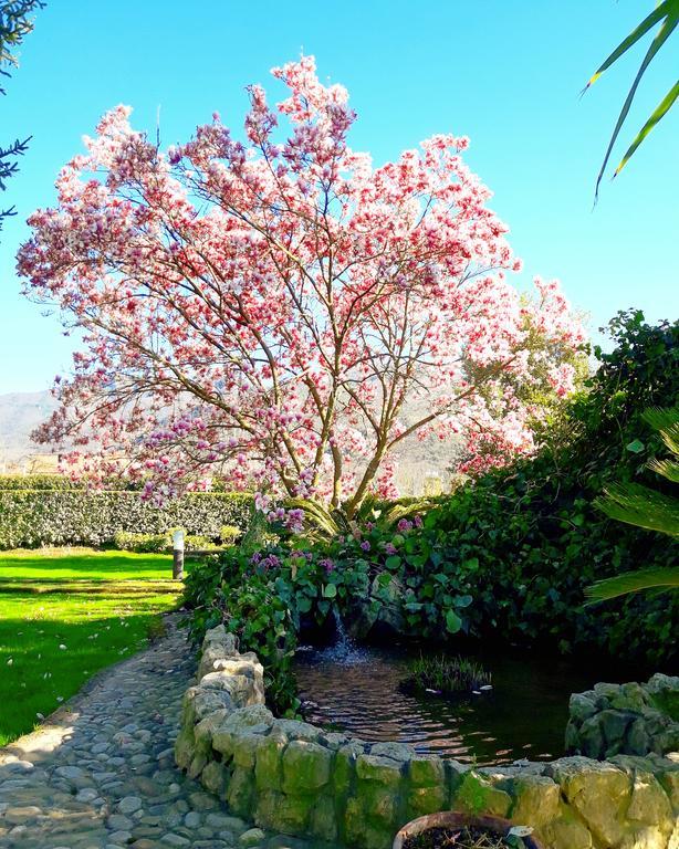Il Casale Di Riardo Luxury B&B エクステリア 写真
